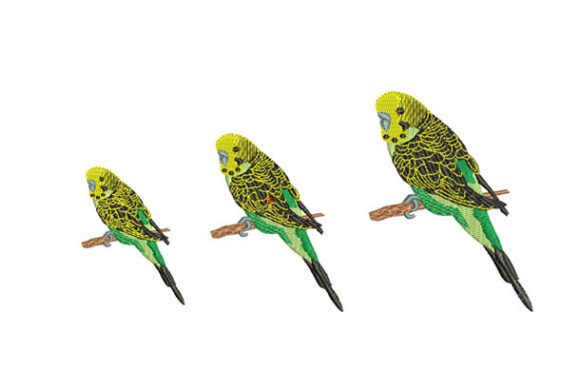 Parakeet Bird: A Seasonal Embroidery Design Review