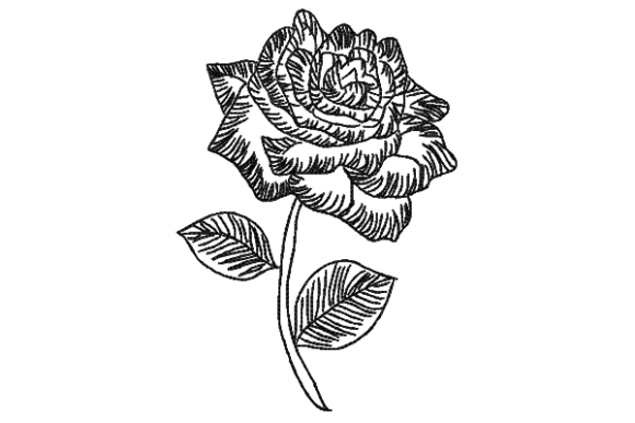 Rose Line: A Thoughtful Embroidery Design for Meaningful Gifts